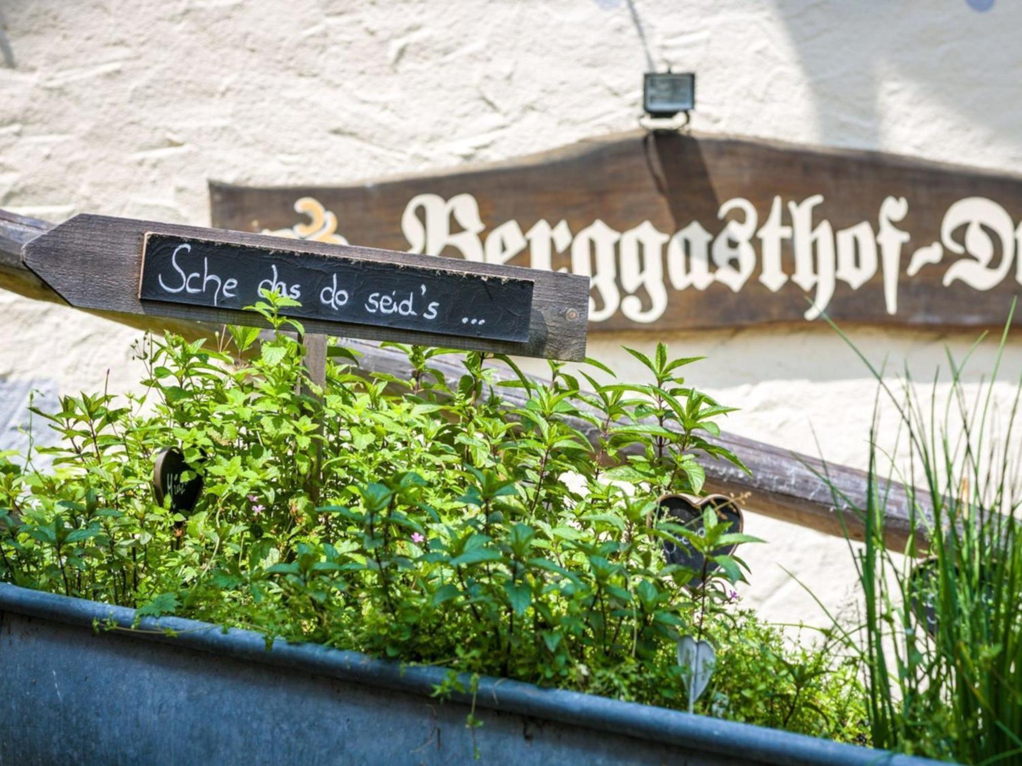 Berggasthof Hotel Duftbraeu I Ruhige Alleinlage I Mitten Im Gruenen Samerberg Exterior photo